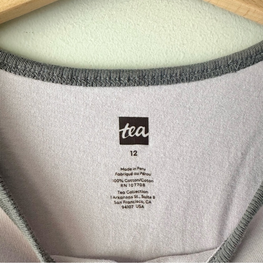 Tea Collection Bunny Rabbit Popsicle Raglan Shirt - Picture 3 of 5